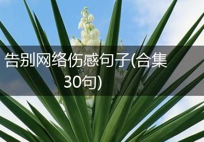 告别网络伤感句子(合集30句)