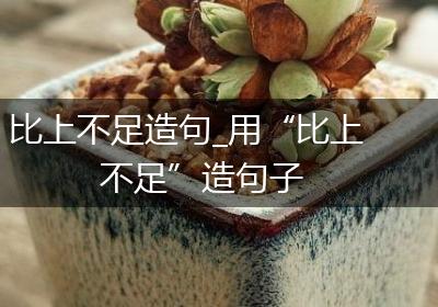 比上不足造句_用“比上不足”造句子