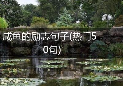 咸鱼的励志句子(热门50句)
