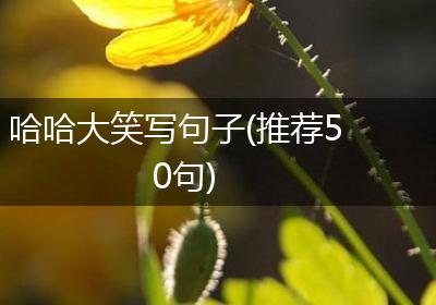 哈哈大笑写句子(推荐50句)