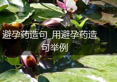 避孕药造句_用避孕药造句举例