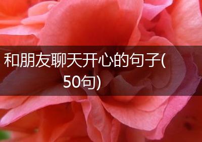 和朋友聊天开心的句子(50句)