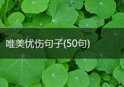 唯美忧伤句子(50句)