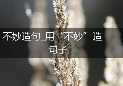 不妙造句_用“不妙”造句子