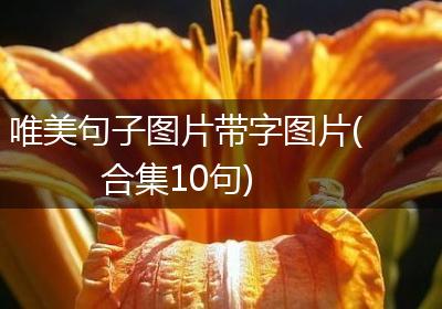 唯美句子图片带字图片(合集10句)