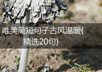 唯美简短句子古风温暖(精选20句)