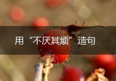 用“不厌其烦”造句