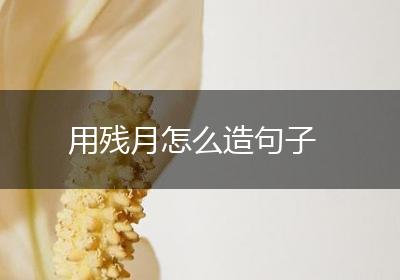 用残月怎么造句子