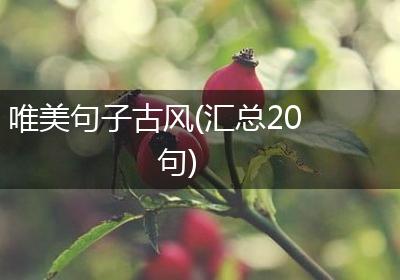 唯美句子古风(汇总20句)
