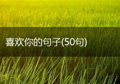 喜欢你的句子(50句)