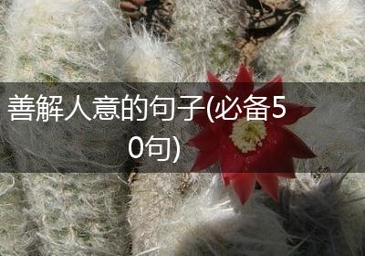善解人意的句子(必备50句)