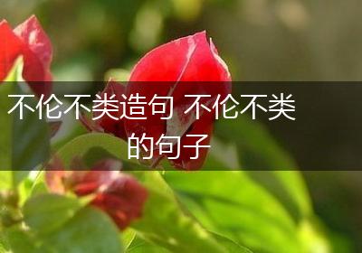 不伦不类造句 不伦不类的句子