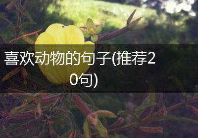 喜欢动物的句子(推荐20句)