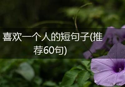 喜欢一个人的短句子(推荐60句)
