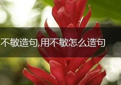 不敏造句,用不敏怎么造句