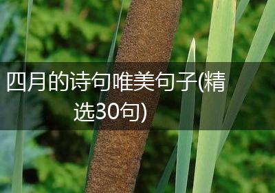 四月的诗句唯美句子(精选30句)