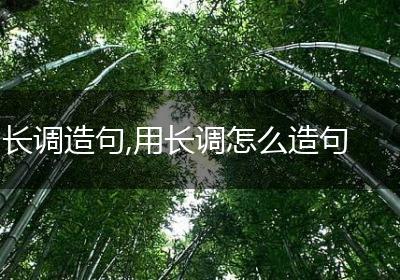 长调造句,用长调怎么造句