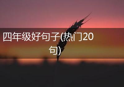 四年级好句子(热门20句)