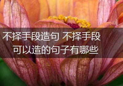 不择手段造句 不择手段可以造的句子有哪些