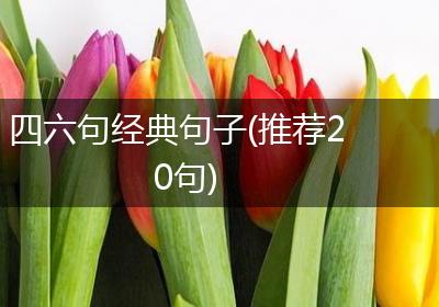 四六句经典句子(推荐20句)