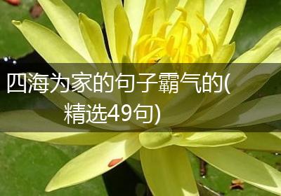 四海为家的句子霸气的(精选49句)