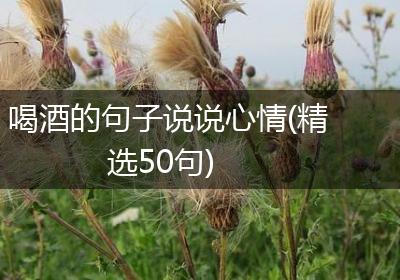 喝酒的句子说说心情(精选50句)