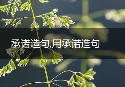 承诺造句,用承诺造句