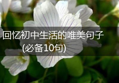 回忆初中生活的唯美句子(必备10句)