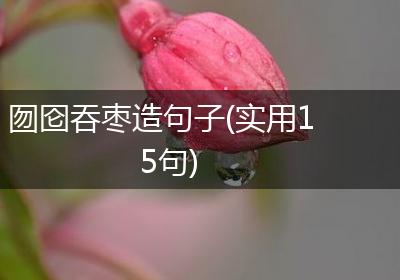 囫囵吞枣造句子(实用15句)