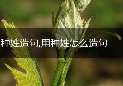 种姓造句,用种姓怎么造句