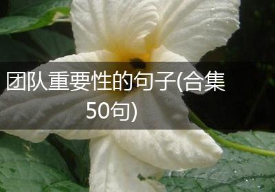 团队重要性的句子(合集50句)
