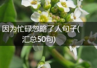 因为忙碌忽略了人句子(汇总50句)