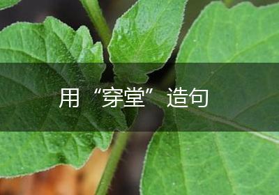 用“穿堂”造句