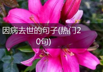 因病去世的句子(热门20句)