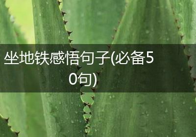 坐地铁感悟句子(必备50句)