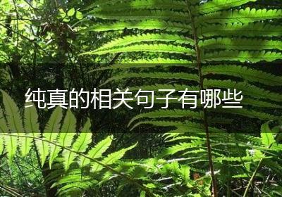 纯真的相关句子有哪些