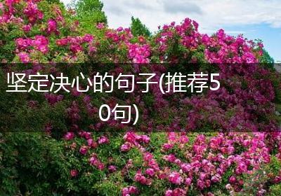 坚定决心的句子(推荐50句)