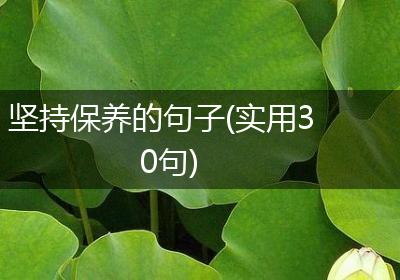 坚持保养的句子(实用30句)