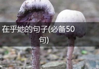 在乎她的句子(必备50句)