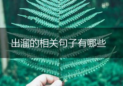 出溜的相关句子有哪些