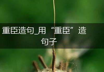 重臣造句_用“重臣”造句子