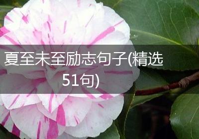 夏至未至励志句子(精选51句)