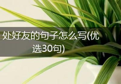 处好友的句子怎么写(优选30句)