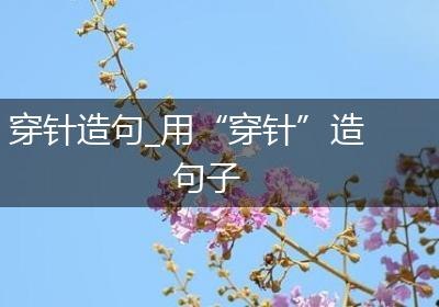 穿针造句_用“穿针”造句子