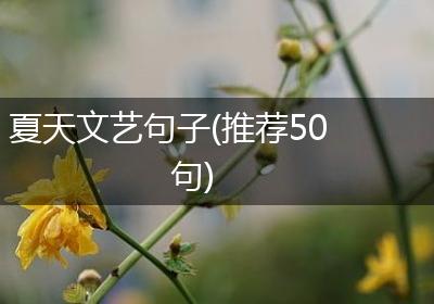 夏天文艺句子(推荐50句)