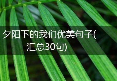 夕阳下的我们优美句子(汇总30句)