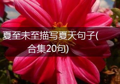 夏至未至描写夏天句子(合集20句)