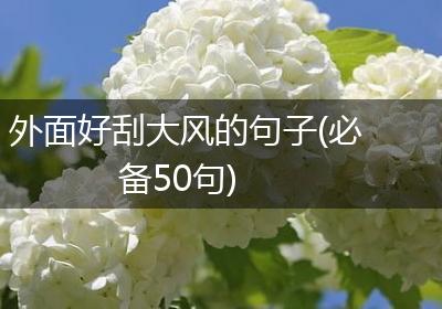 外面好刮大风的句子(必备50句)