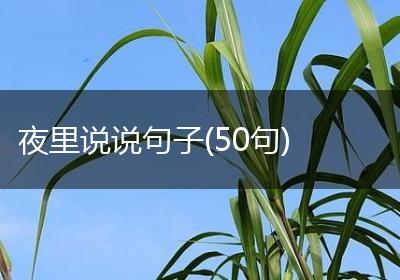 夜里说说句子(50句)