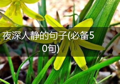 夜深人静的句子(必备50句)